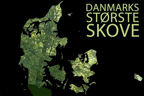 Danmarks største escort og massage guide ️ Escort5.dk